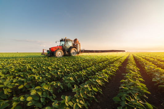 Beyond the Basics: Six Key Drivers and Three Strategic Phases for Grain Crop Production Success