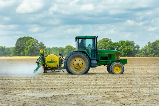 Weed Management in Maize: A Valuable Guide for Farmers
