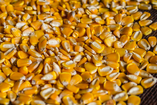 Increasing Maize Production with Efficient Land-Use